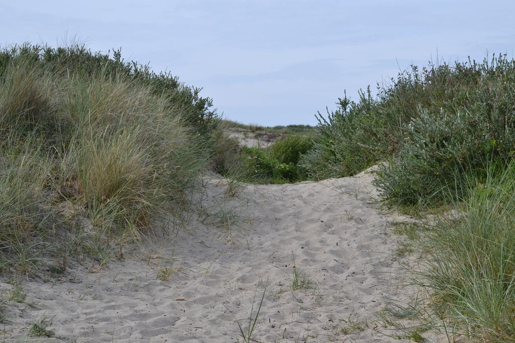Ferienhaus Gluecklich Am Meer 1 Mit Wellnesszugang Egmond aan Zee Exteriör bild